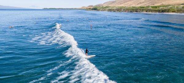 Private and Semi-Private - Surf Lesson